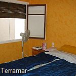 More pictures IMG_1098.jpg