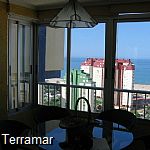 More pictures IMG_0022.jpg