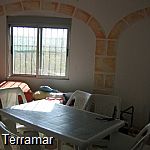 More pictures IMG_0365.jpg
