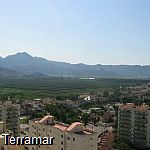 More pictures IMG_0018.jpg