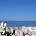 More pictures IMG_0009.jpg